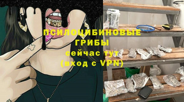 дмт Балахна