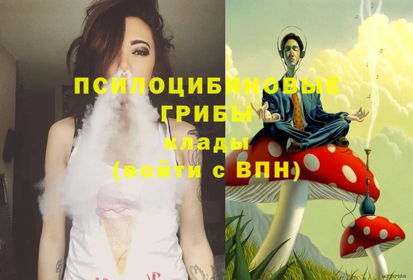 дмт Балахна