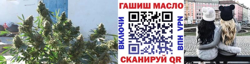 купить   Дальнегорск  ТГК жижа 
